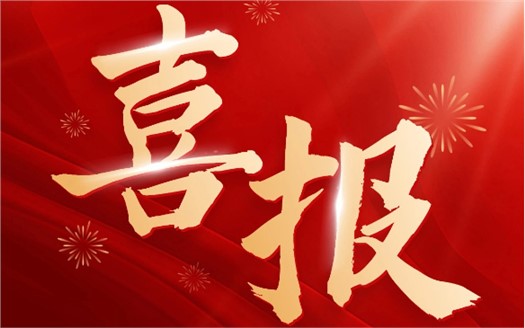 集团荣膺2025中国民营企业500强第249位，制造业民营企业500强第177位，排名较去年双双大幅提升